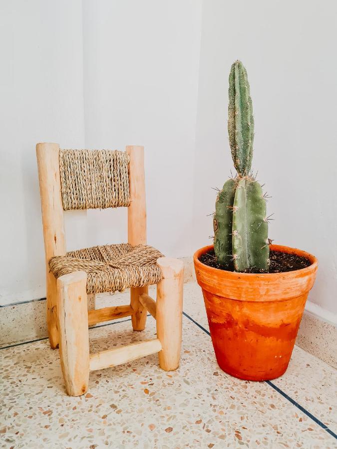 הוסטל Tamraght Cactus Surf House מראה חיצוני תמונה